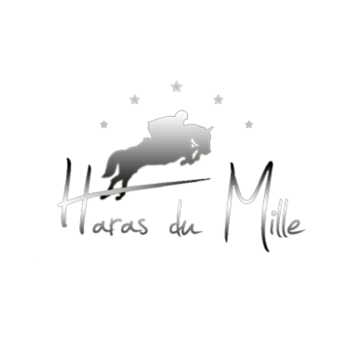 haras du mille